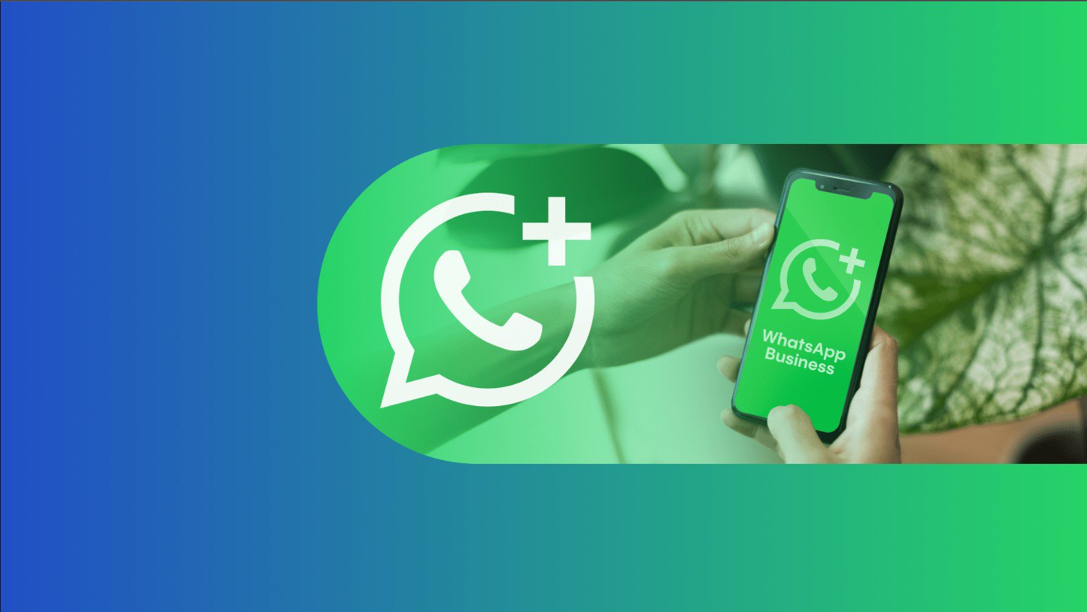 WhatsApp Booking System for Gyms.jpg