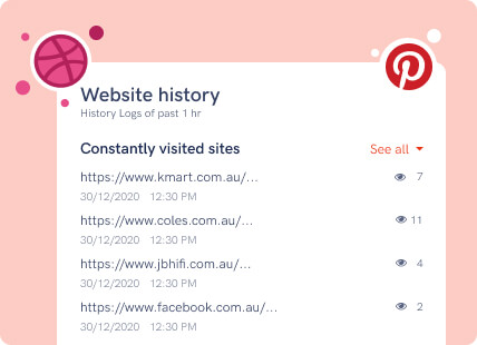 Monitor browser history
